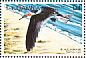 Black Skimmer Rynchops niger  1999 Seabirds Sheet