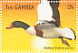 Common Shelduck Tadorna tadorna  1999 Seabirds Sheet