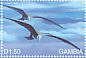 Magnificent Frigatebird Fregata magnificens  1999 Marine life of Galapagos 40v sheet