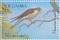 Mauritius Kestrel Falco punctatus  2000 Wildlife of the African bushveld 6v sheet