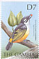 Yellow-rumped Tinkerbird Pogoniulus bilineatus  2000 Birds of the tropics Sheet