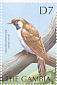 Greater Honeyguide Indicator indicator  2000 Birds of the tropics Sheet