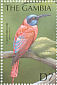 Northern Carmine Bee-eater Merops nubicus  2000 Birds of the tropics Sheet