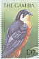 African Hobby Falco cuvierii  2000 Birds of the tropics Sheet