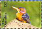 African Pygmy Kingfisher Ispidina picta  2001 Bird photographs Sheet