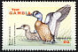 Blue-winged Teal Spatula discors