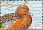 Cinnamon Teal Spatula cyanoptera  2001 Ducks Sheet