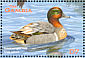 Green-winged Teal Anas carolinensis  2001 Ducks Sheet