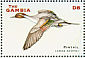 Northern Pintail Anas acuta  2001 Ducks Sheet