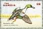 Northern Shoveler Spatula clypeata  2001 Ducks Sheet