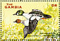 Common Goldeneye Bucephala clangula  2001 Ducks Sheet
