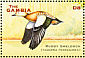 Ruddy Shelduck Tadorna ferruginea  2001 Ducks Sheet