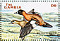 Masked Duck Nomonyx dominicus  2001 Ducks Sheet