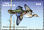 Wood Duck Aix sponsa  2001 Ducks  MS