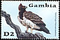 Martial Eagle Polemaetus bellicosus