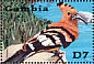 African Hoopoe Upupa africana