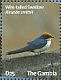 Wire-tailed Swallow Hirundo smithii  2009 Birds of Gambia Sheet