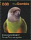 Senegal Parrot Poicephalus senegalus  2011 Parrots of Africa Sheet