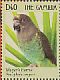 Meyer's Parrot Poicephalus meyeri  2011 Parrots of Africa Sheet