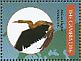 African Darter Anhinga rufa  2011 Birds of Africa Sheet