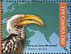 Southern Yellow-billed Hornbill Tockus leucomelas  2011 Birds of Africa  MS