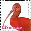 Scarlet Ibis Eudocimus ruber  2013 Birds of Brazil Sheet