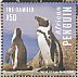 African Penguin Spheniscus demersus  2014 African Penguin Sheet