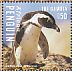 African Penguin Spheniscus demersus