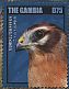 Montagu's Harrier Circus pygargus  2014 African birds of prey Sheet