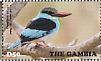Blue-breasted Kingfisher Halcyon malimbica  2015 Kingfishers Sheet