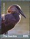 Hamerkop Scopus umbretta  2018 Hamerkop - National bird of The Gambia Sheet