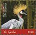 Grey Crowned Crane Balearica regulorum