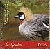 Grey Crowned Crane Balearica regulorum  2018 Grey Crowned Crane Sheet