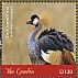 Grey Crowned Crane Balearica regulorum  2018 Grey Crowned Crane Sheet