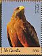 Tawny Eagle Aquila rapax  2018 Birds of prey Sheet