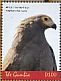 African Harrier-Hawk Polyboroides typus