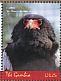 Bateleur Terathopius ecaudatus  2018 Birds of prey Sheet