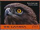 Brown Snake Eagle Circaetus cinereus  2018 Eagles of Africa Sheet