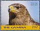 Tawny Eagle Aquila rapax