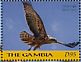 Tawny Eagle Aquila rapax  2018 Tawny Eagle Sheet