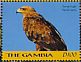 Tawny Eagle Aquila rapax