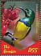 Collared Sunbird Hedydipna collaris  2019 Sunbirds of Africa Sheet