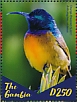 Orange-breasted Sunbird Anthobaphes violacea  2019 Sunbirds of Africa  MS