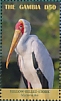 Yellow-billed Stork Mycteria ibis  2019 Yellow-billed Stork Sheet