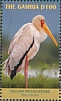 Yellow-billed Stork Mycteria ibis  2019 Yellow-billed Stork Sheet