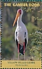 Yellow-billed Stork Mycteria ibis