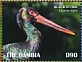 Black Stork Ciconia nigra  2019 Black Stork Sheet