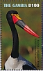 Saddle-billed Stork Ephippiorhynchus senegalensis