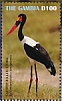 Saddle-billed Stork Ephippiorhynchus senegalensis