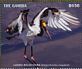 Saddle-billed Stork Ephippiorhynchus senegalensis  2019 Saddle-billed Stork Sheet